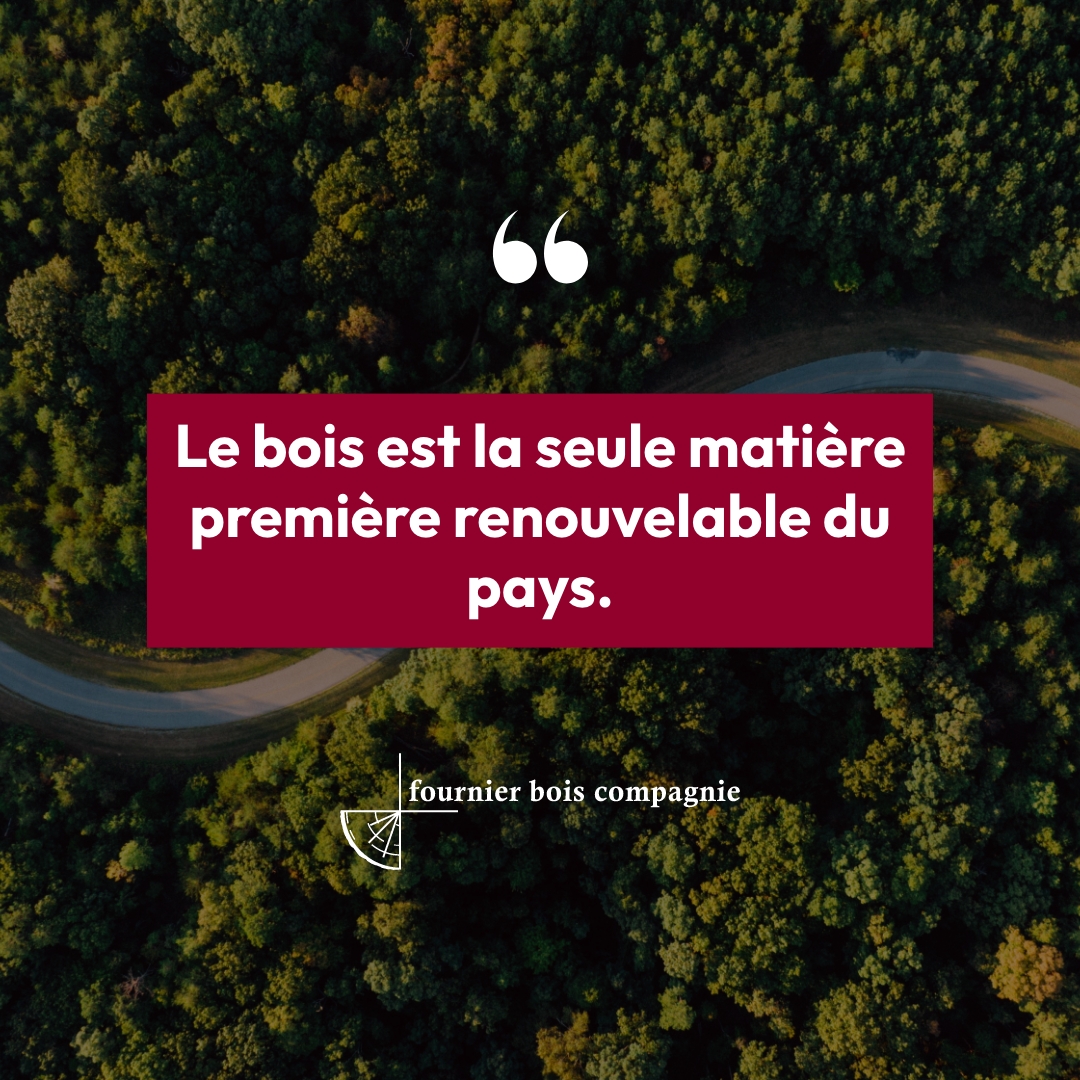 Le bois, notre pile énergétique renouvelable 