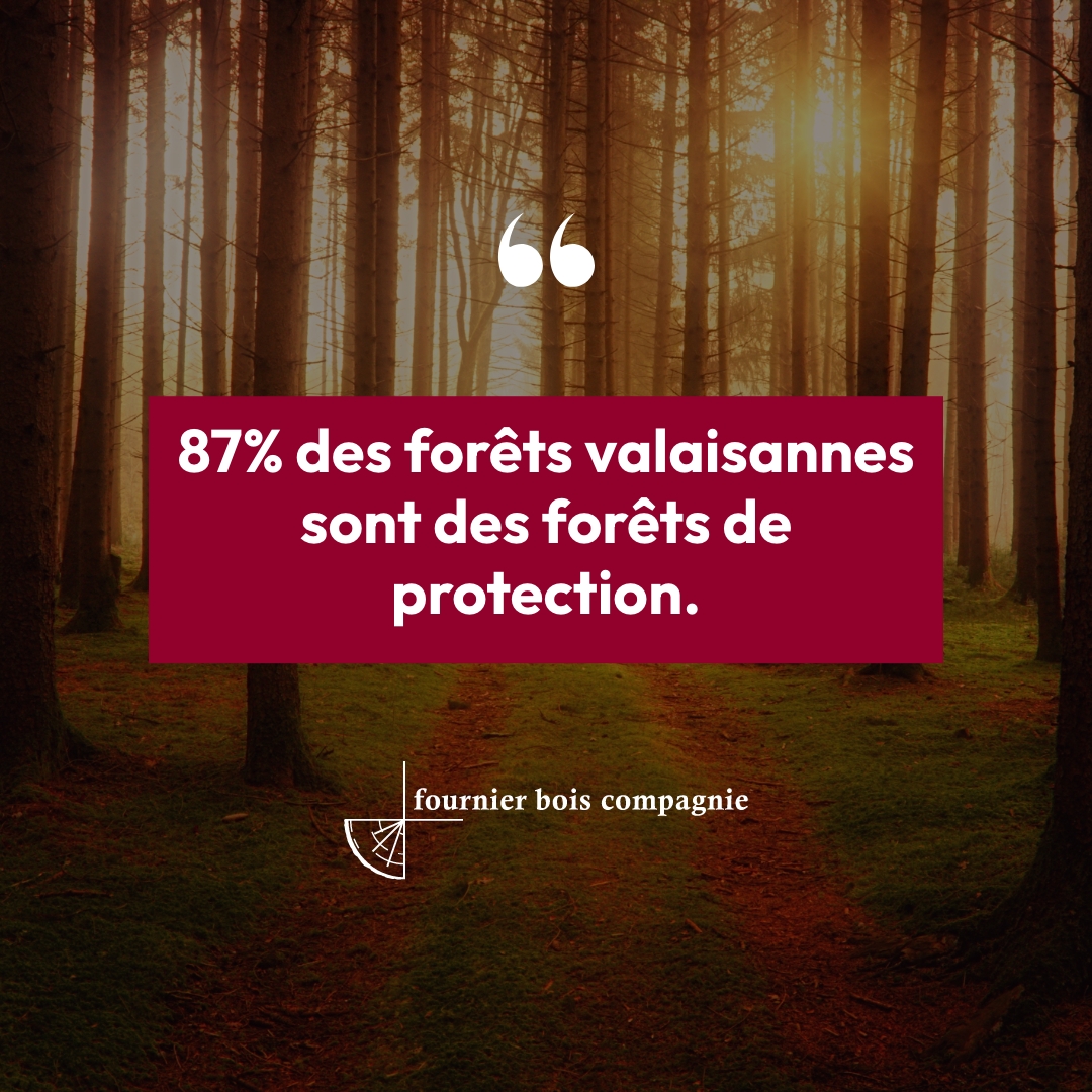 Forêts de protection